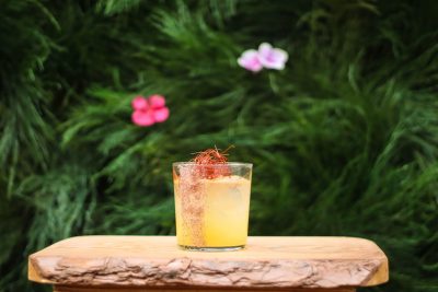 vodka doctors best rye vodka vodka doctors best rye vodka