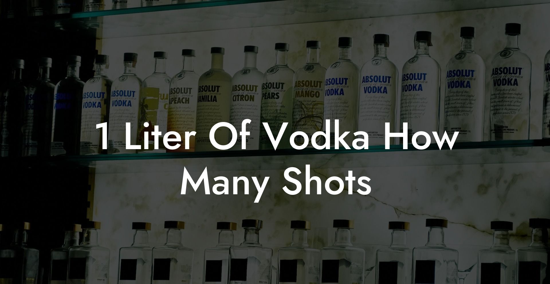 1 Liter Of Vodka How Many Shots