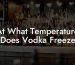 At What Temperature Does Vodka Freeze