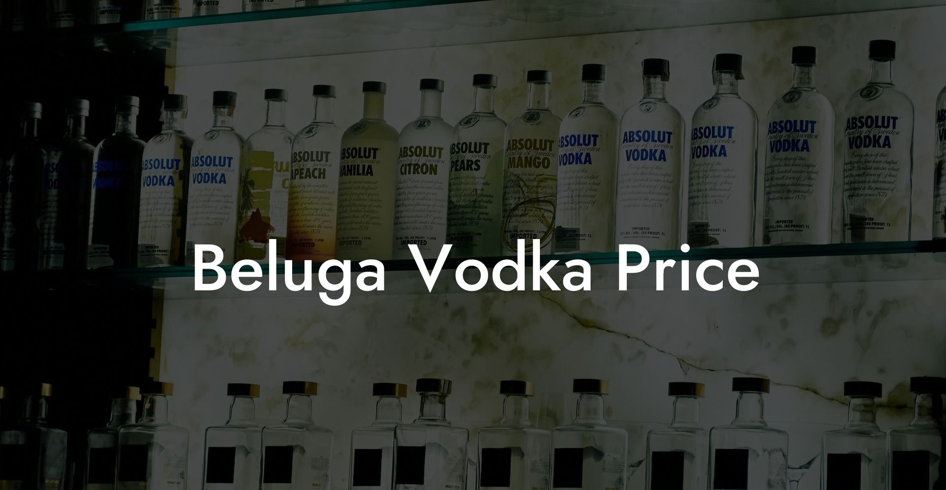 Beluga Vodka Price