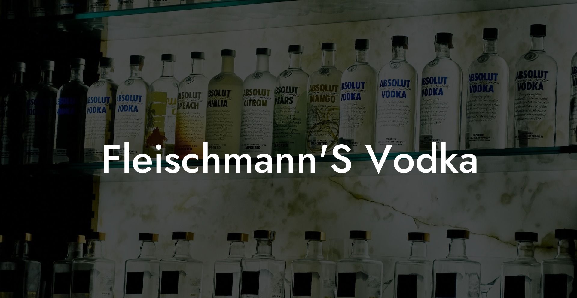 Fleischmann'S Vodka
