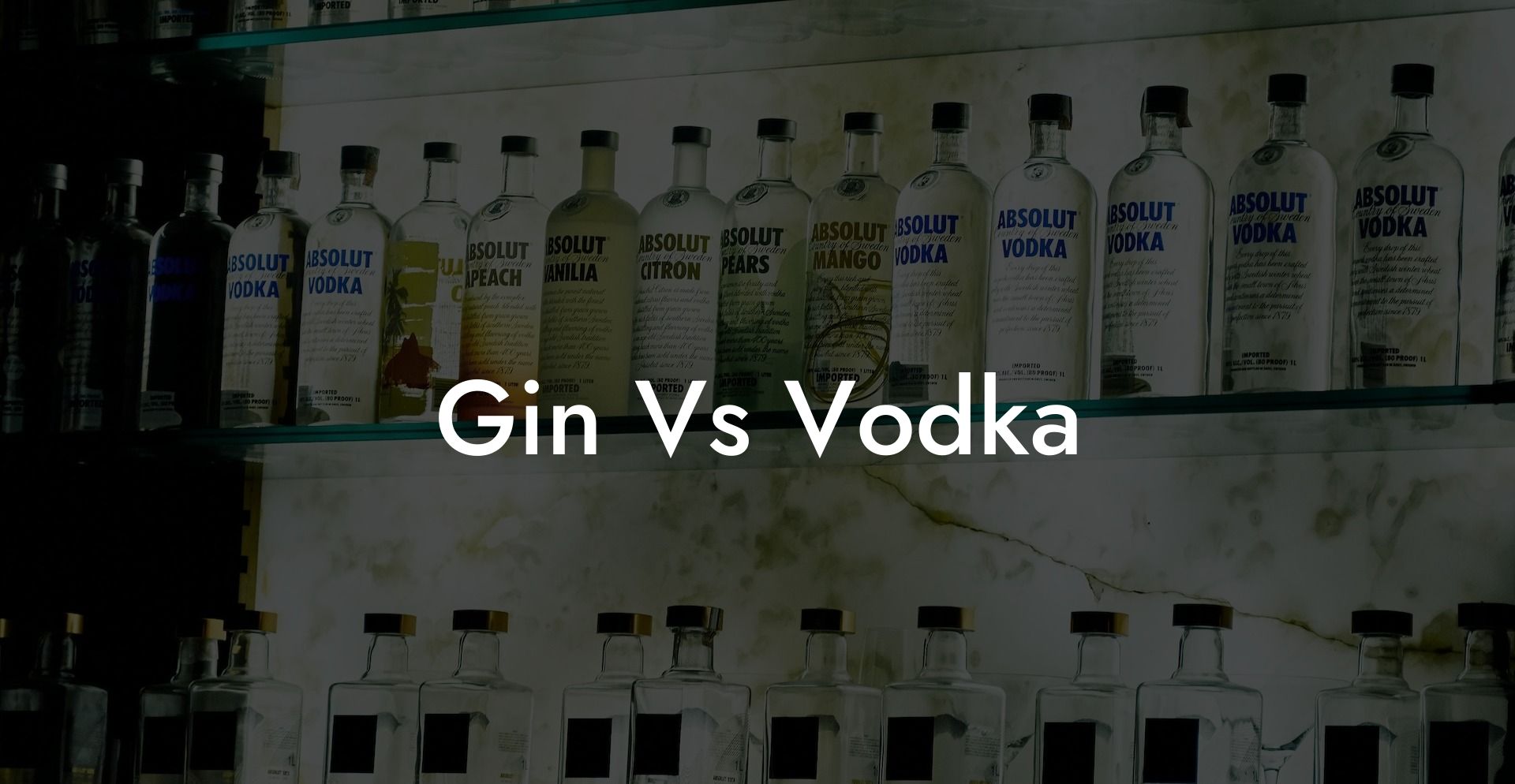 Gin Vs Vodka