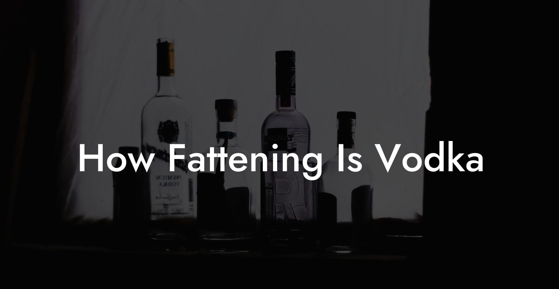 How Fattening Is Vodka