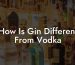 How Is Gin Different From Vodka