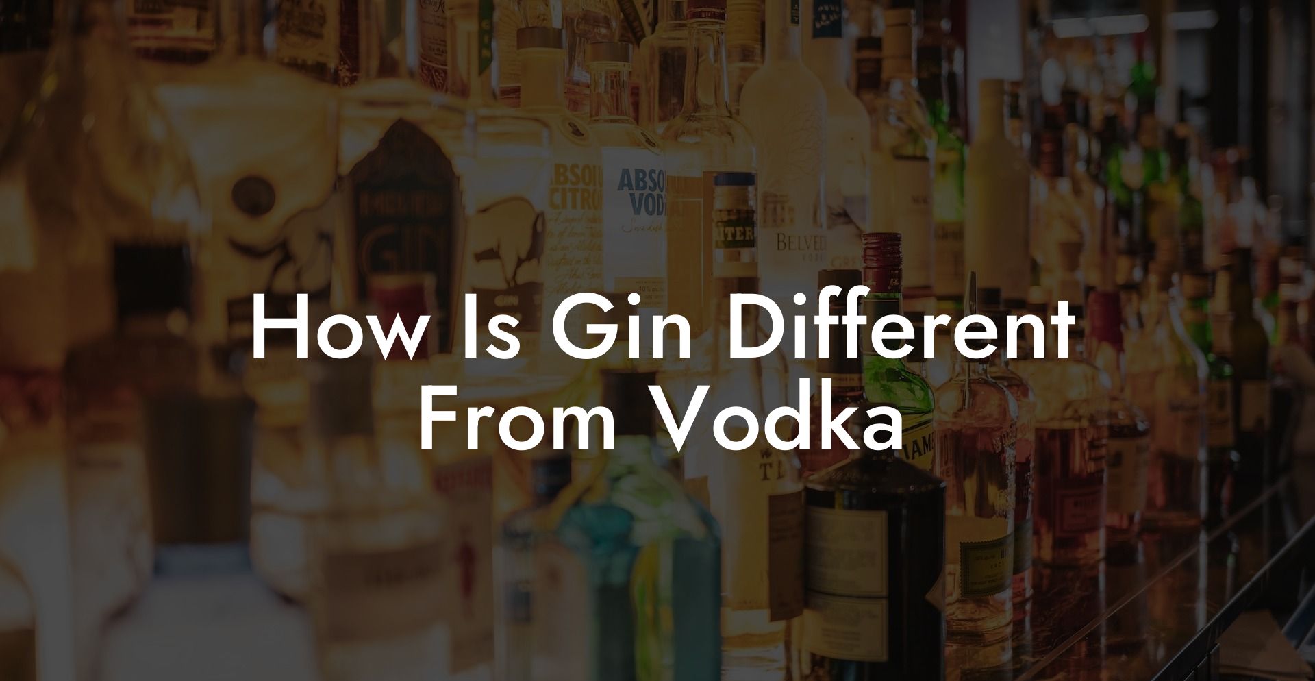 How Is Gin Different From Vodka
