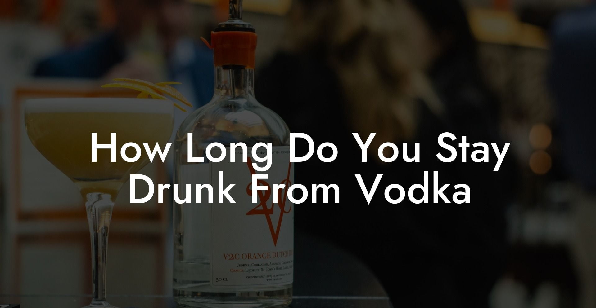 How Long Do You Stay Drunk From Vodka