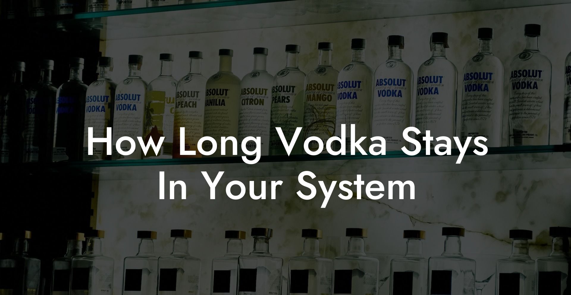 How Long Vodka Stays In Your System