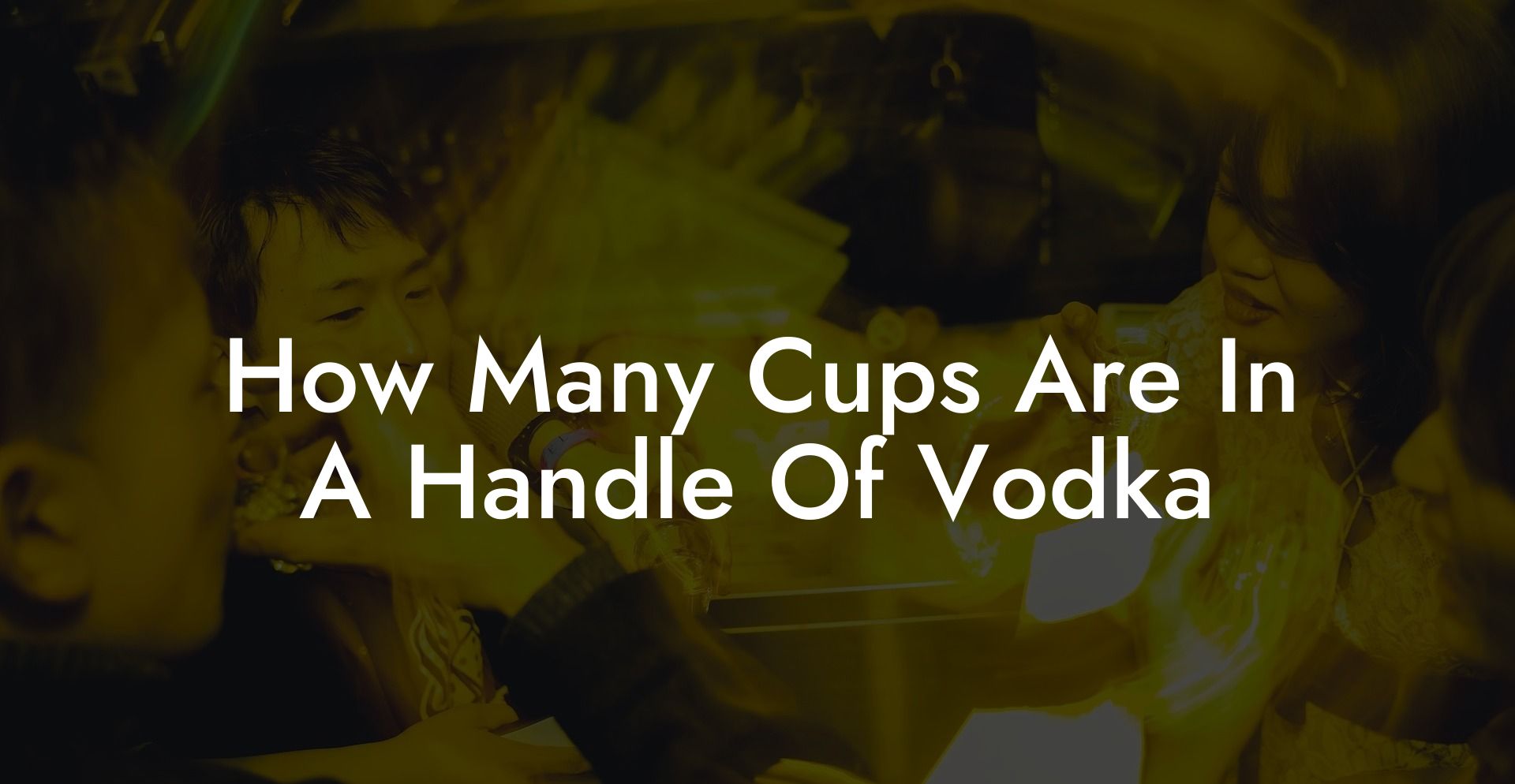 How Many Cups Are In A Handle Of Vodka