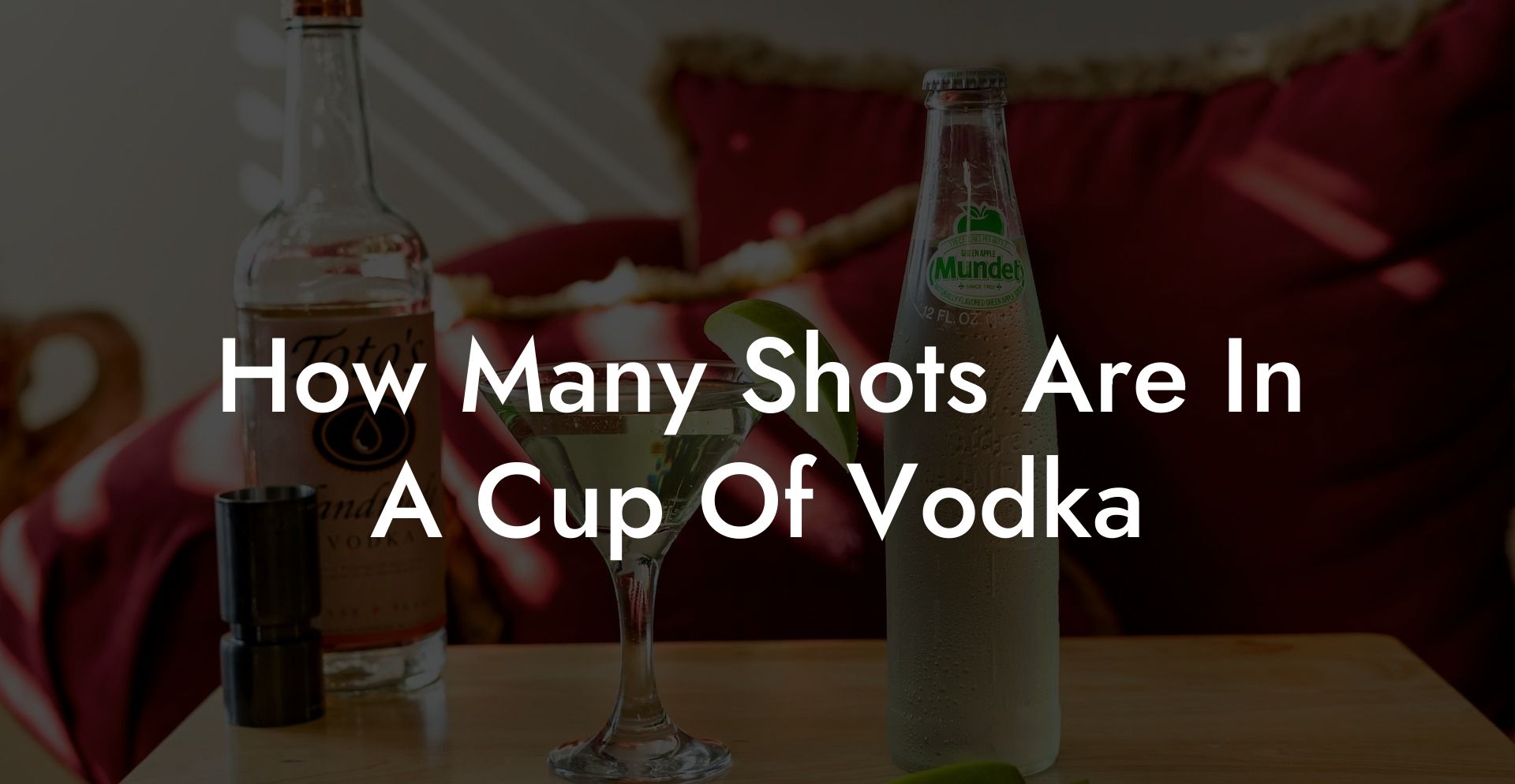 How Many Shots Are In A Cup Of Vodka