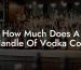 How Much Does A Handle Of Vodka Cost