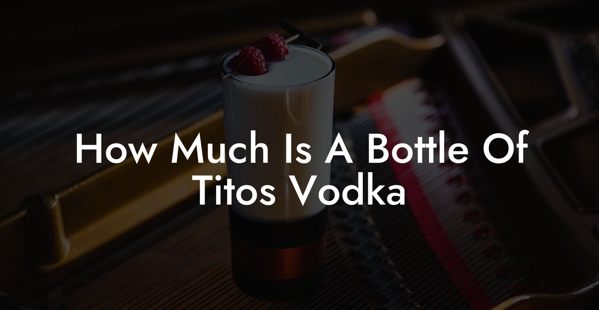 How Much Is A Bottle Of Tito'S Vodka