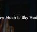 How Much Is Sky Vodka