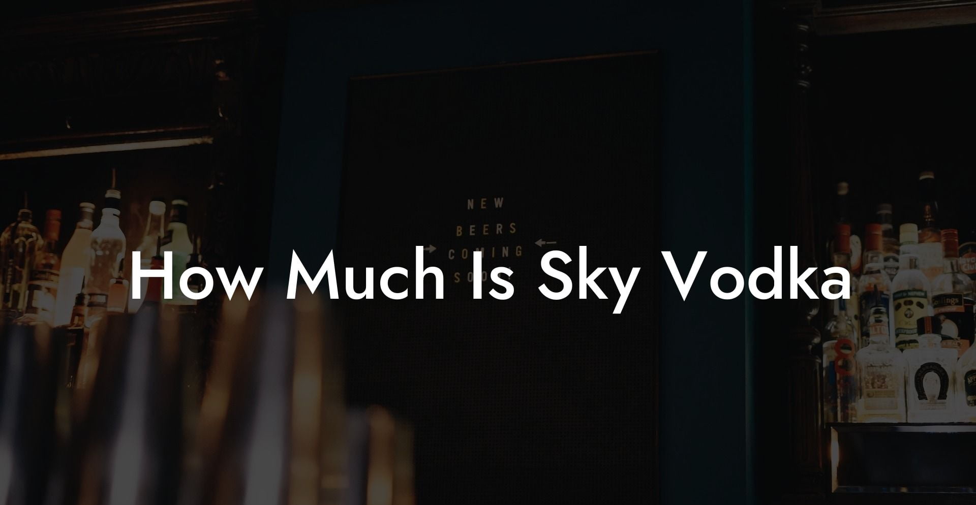 How Much Is Sky Vodka