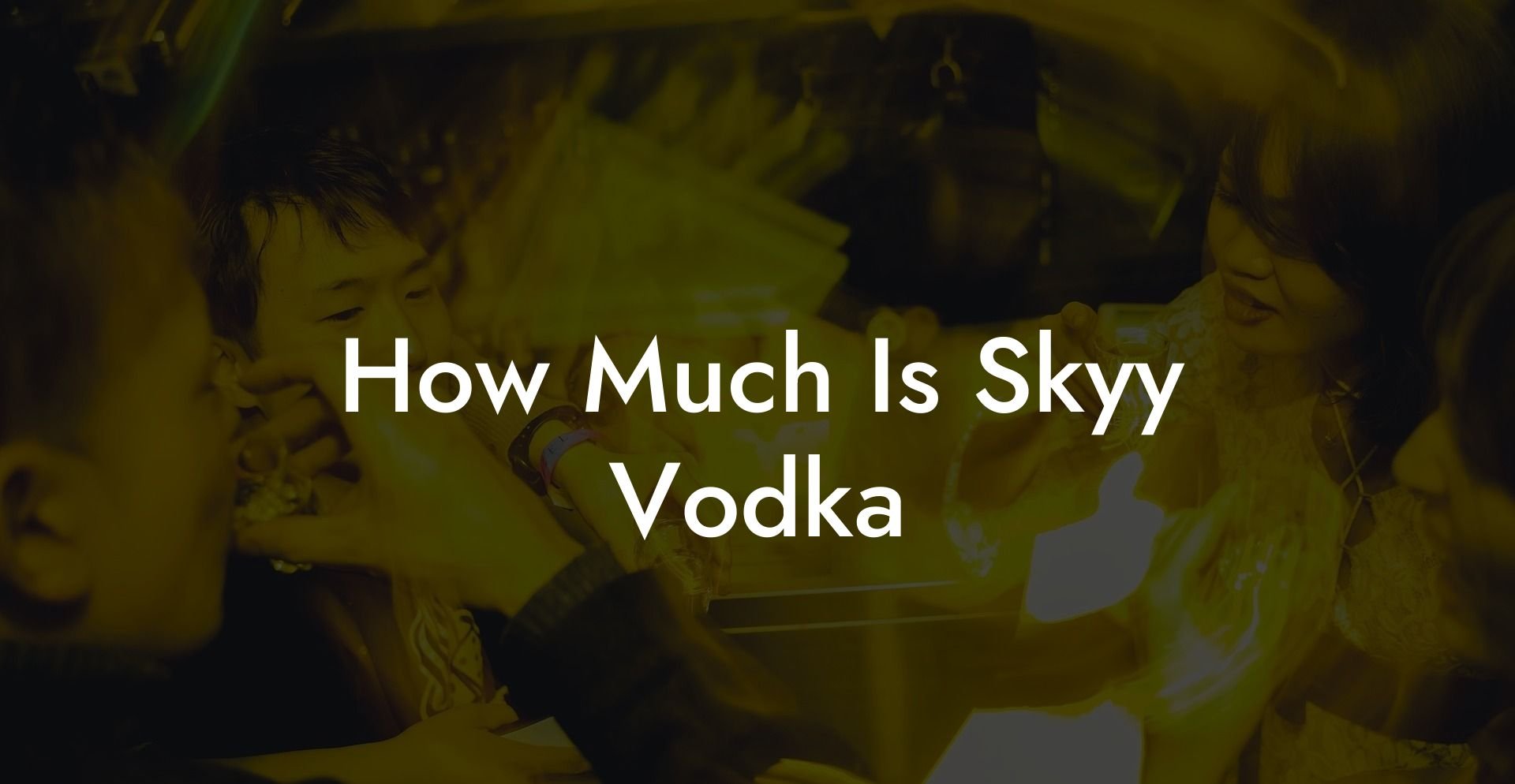 How Much Is Skyy Vodka