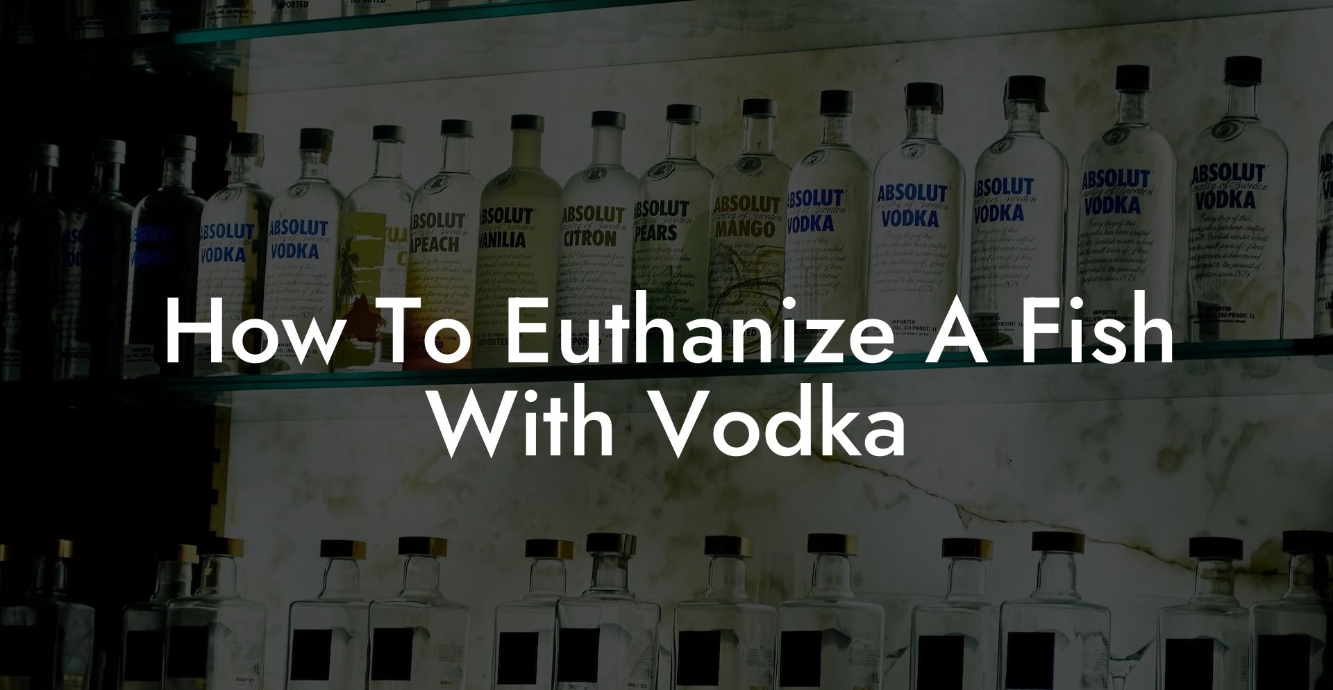 How To Euthanize A Fish With Vodka