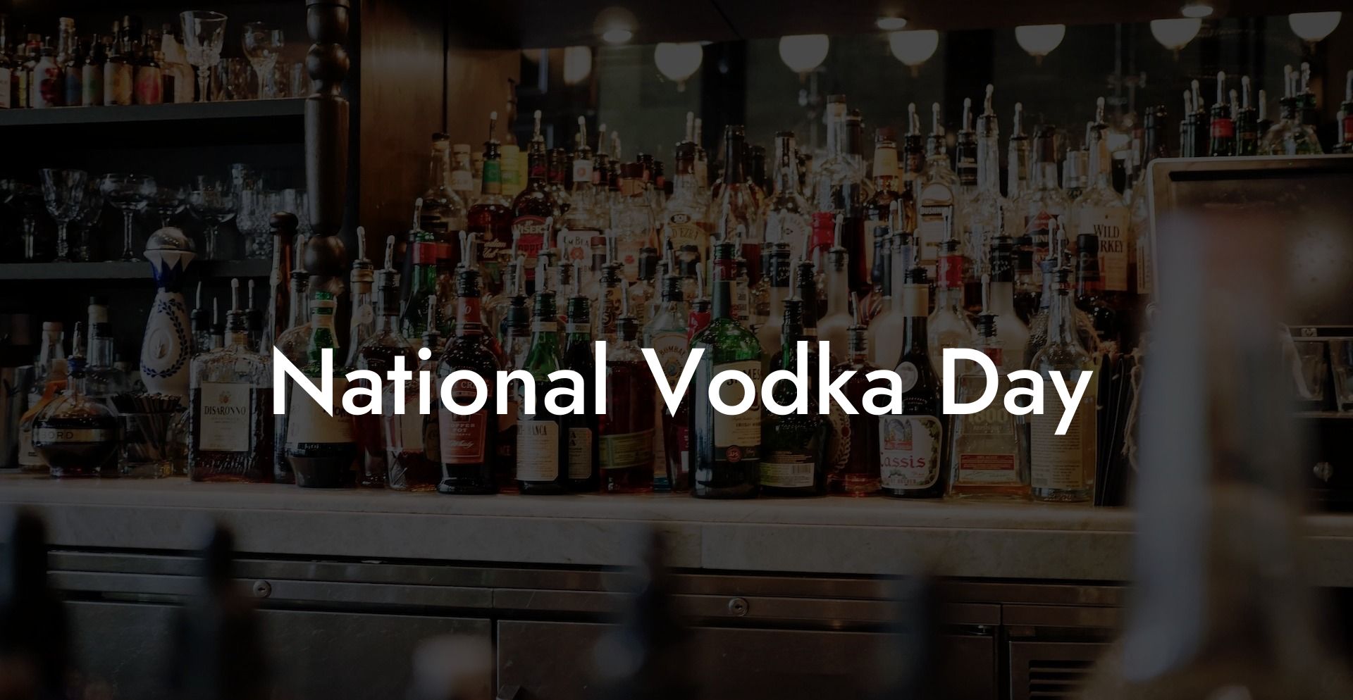 National Vodka Day