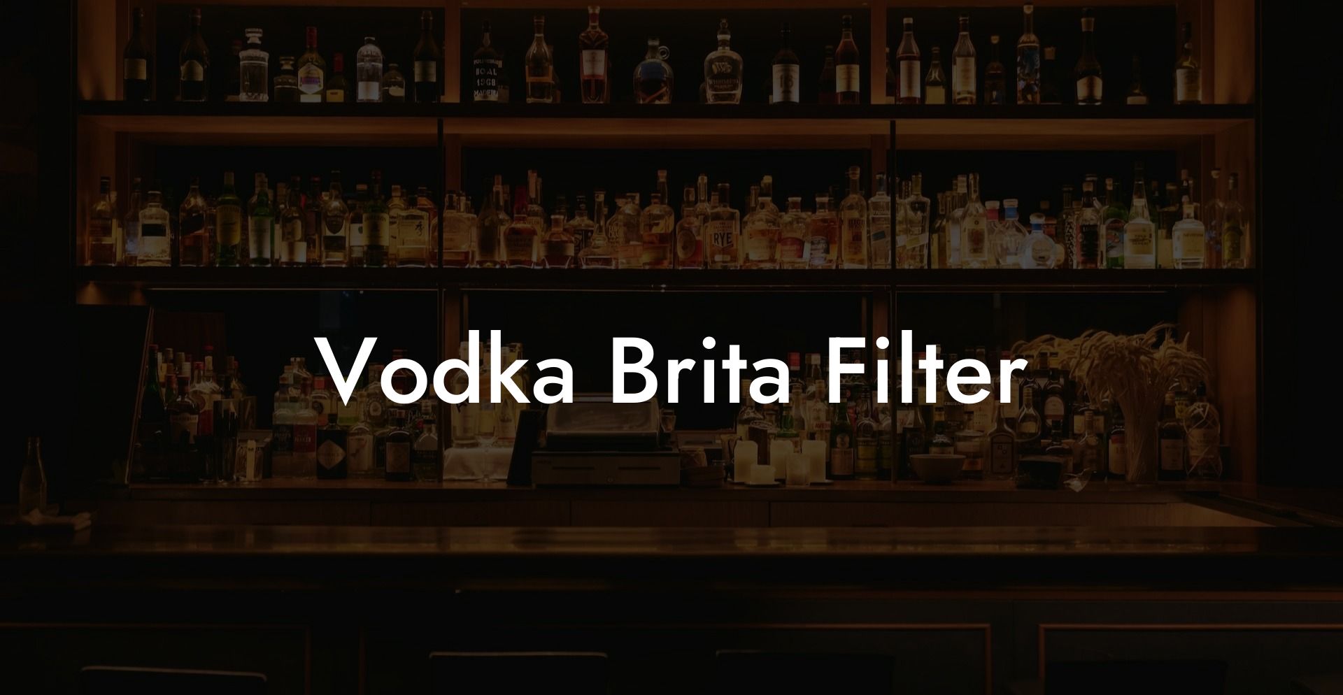 Vodka Brita Filter
