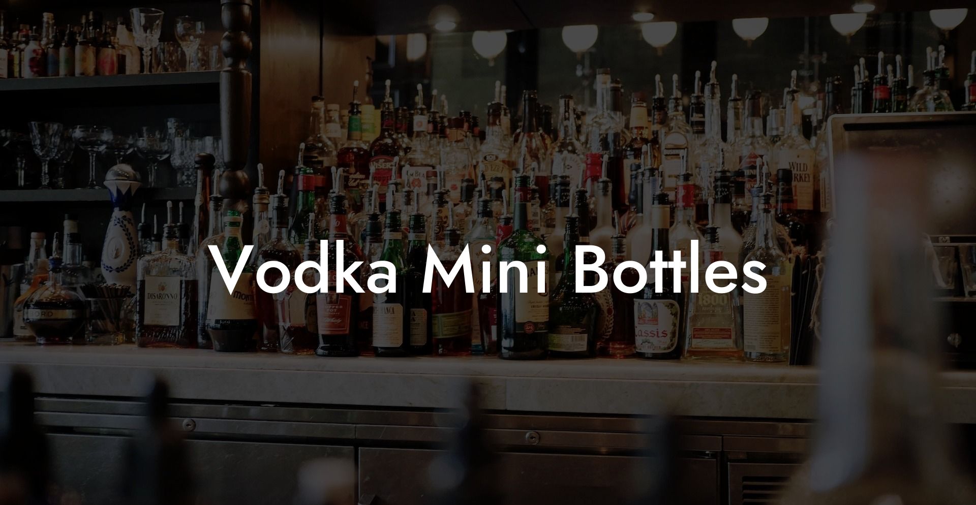 Vodka Mini Bottles