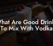 What Are Good Drinks To Mix With Vodka