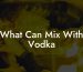 What Can Mix With Vodka