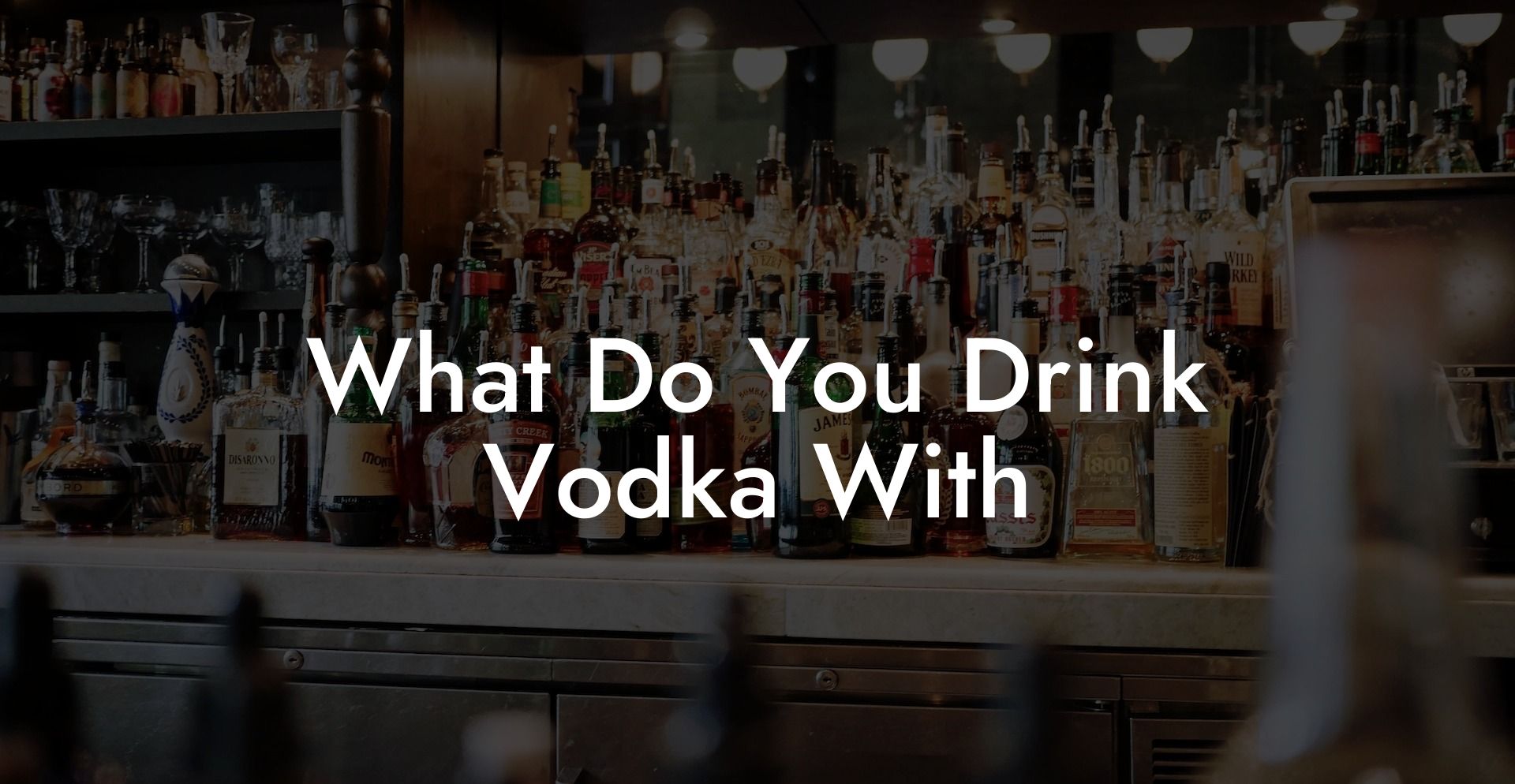 What Do You Drink Vodka With
