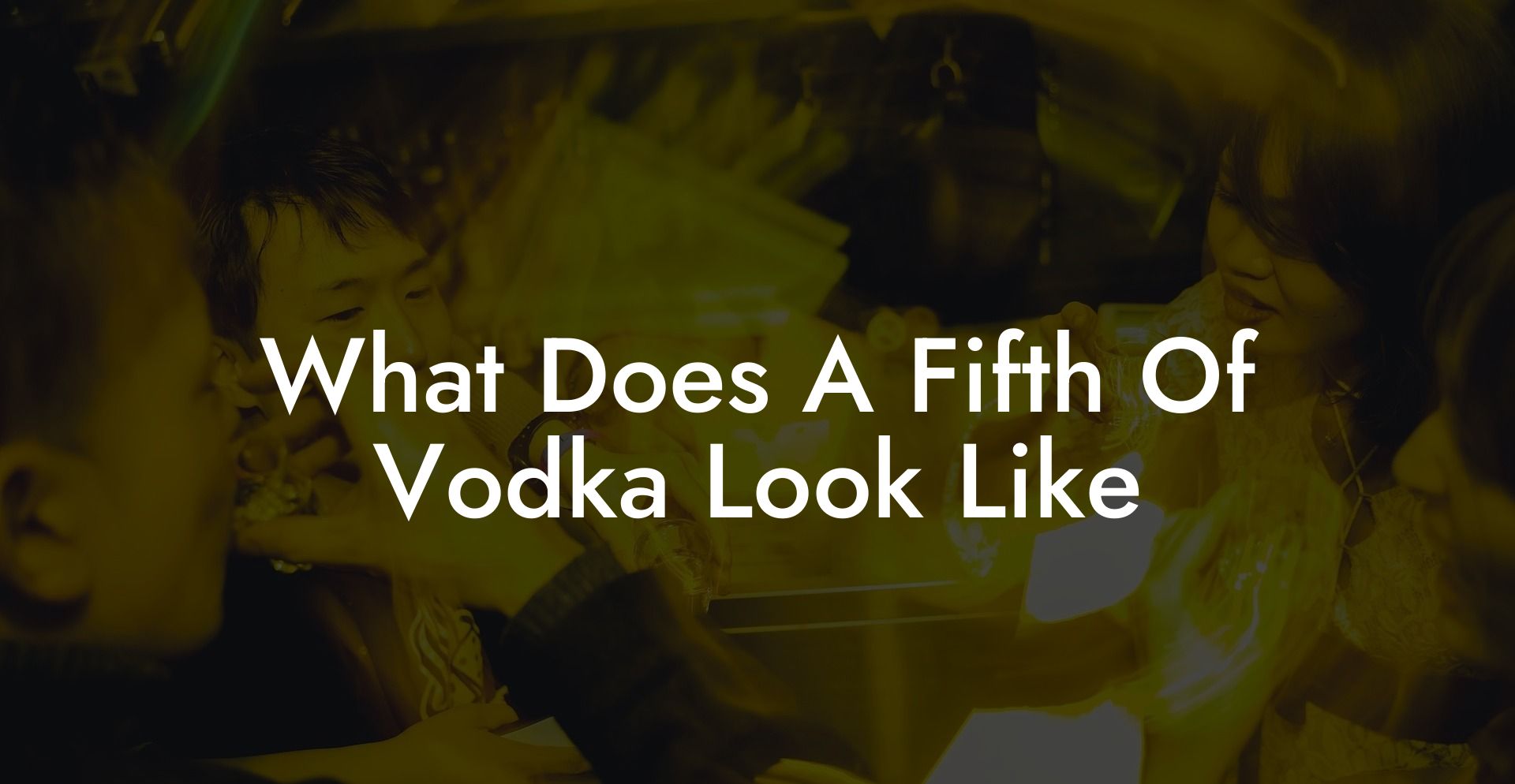 What Does A Fifth Of Vodka Look Like