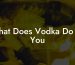 What Does Vodka Do To You