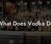 What Does Vodka Do