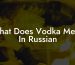 What Does Vodka Mean In Russian