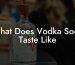 What Does Vodka Soda Taste Like