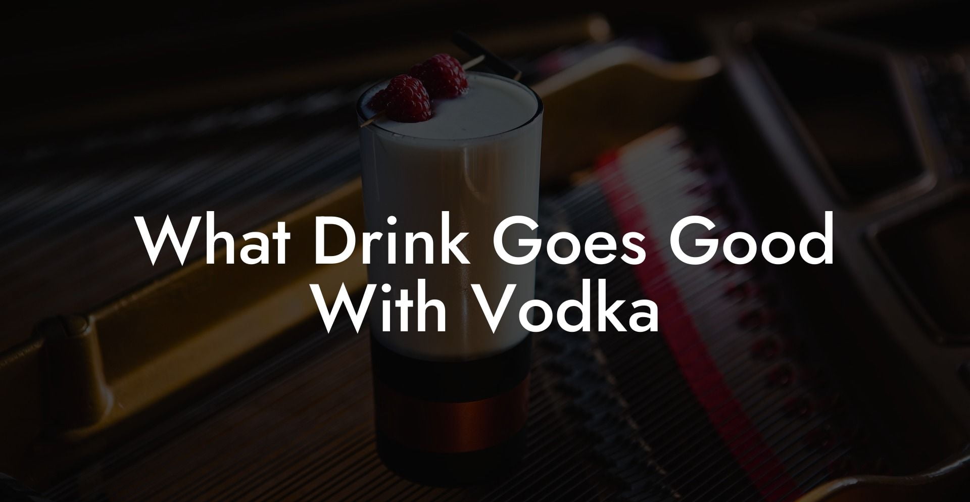What Drink Goes Good With Vodka