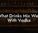 What Drinks Mix Well With Vodka