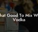 What Good To Mix With Vodka
