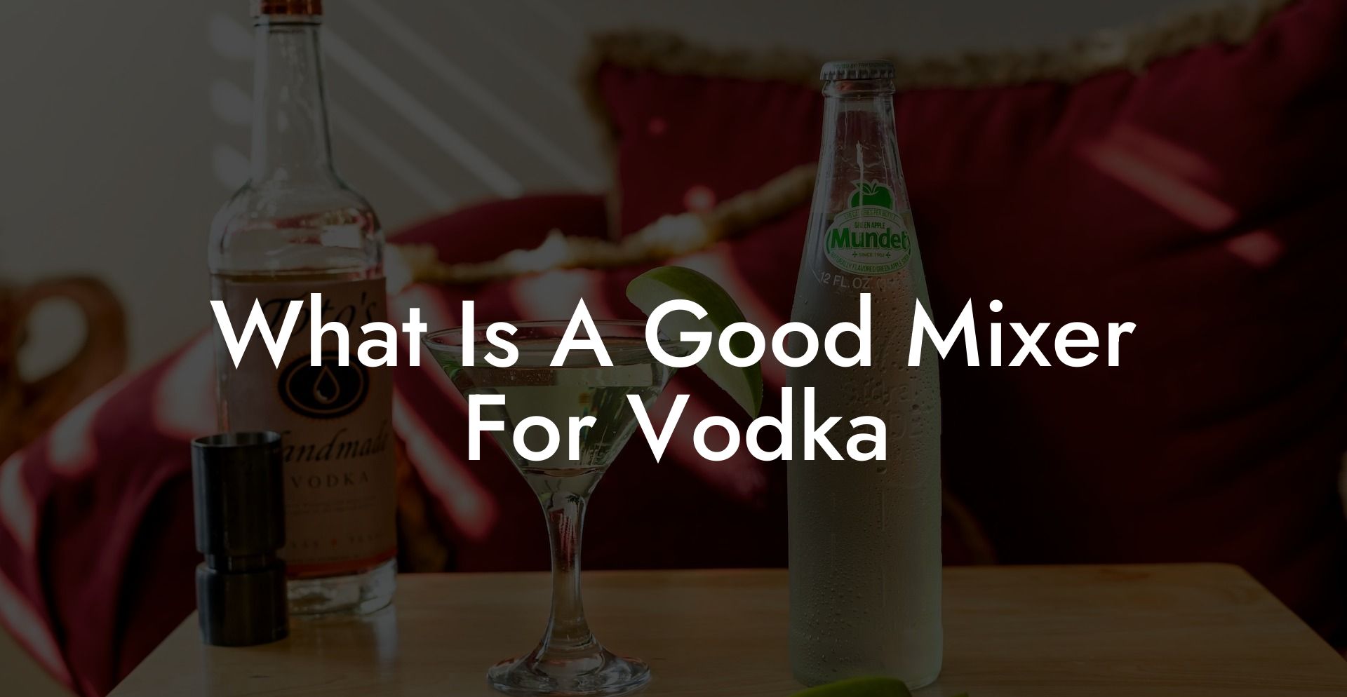What Is A Good Mixer For Vodka