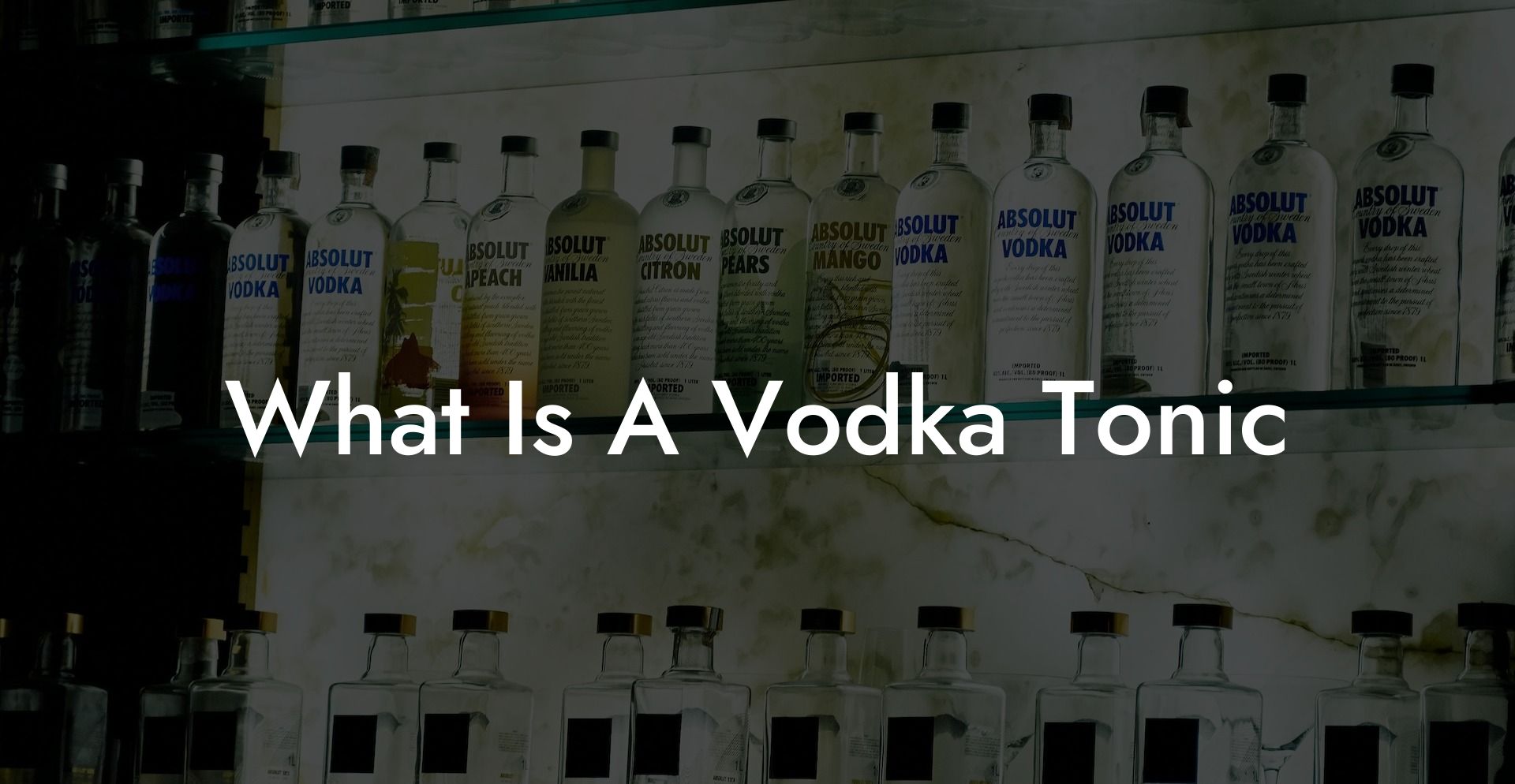 What Is A Vodka Tonic