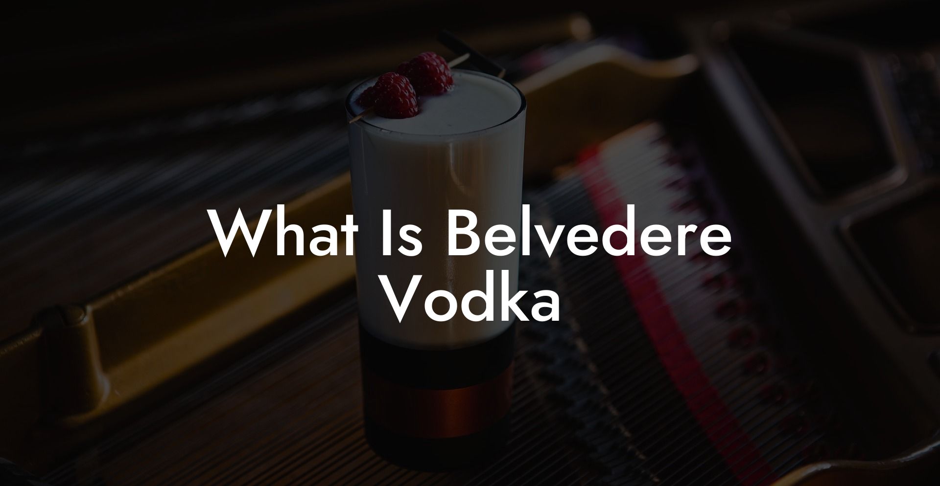 What Is Belvedere Vodka