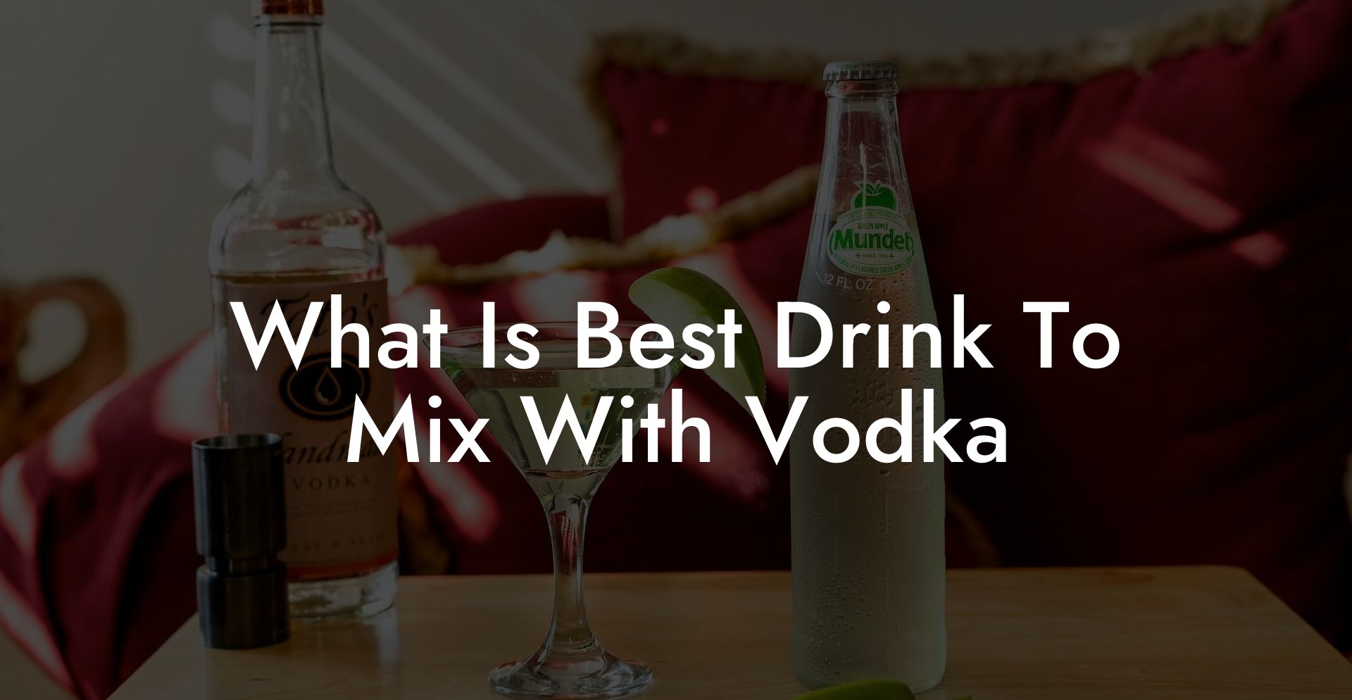 What Is Best Drink To Mix With Vodka