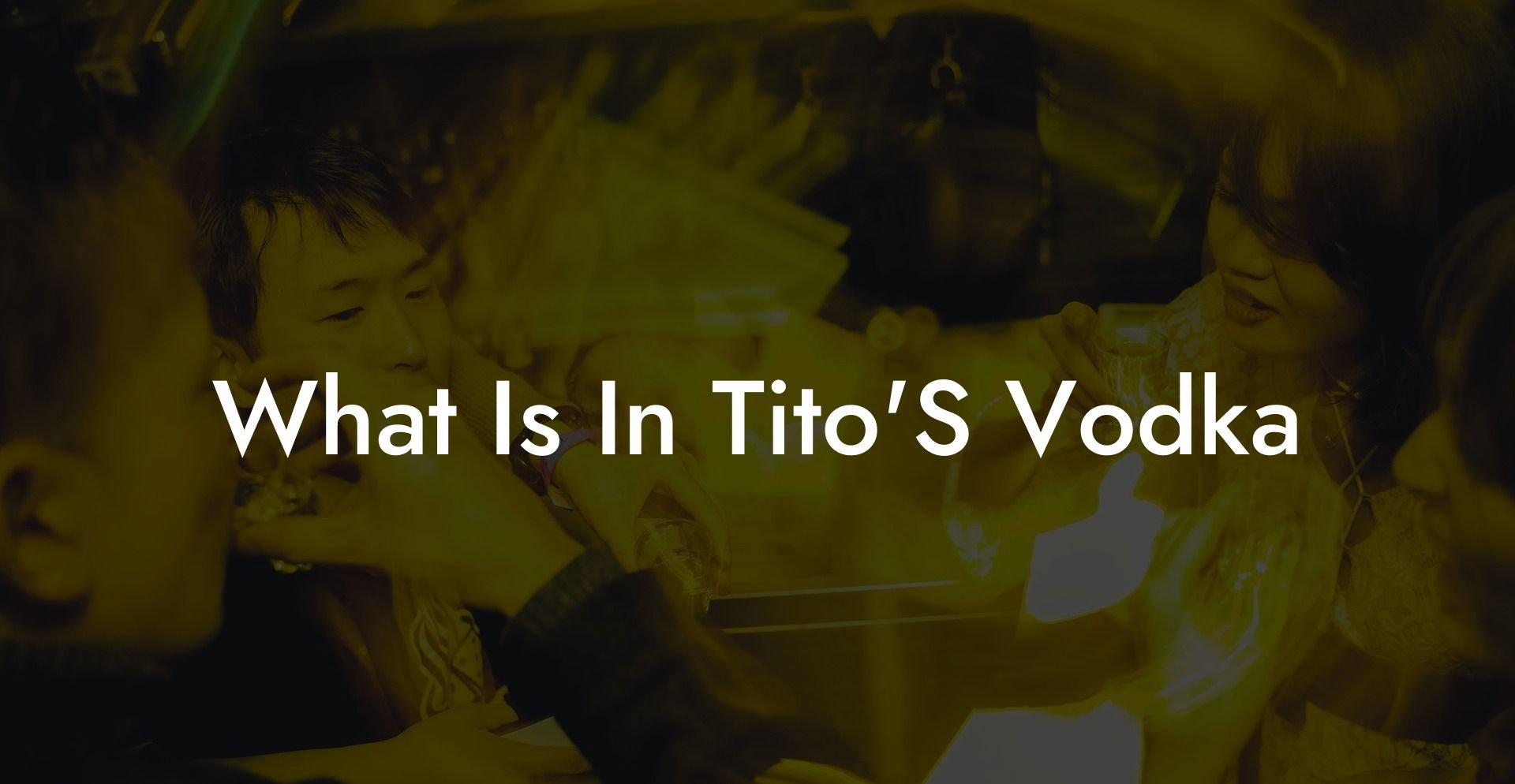 What Is In Tito'S Vodka