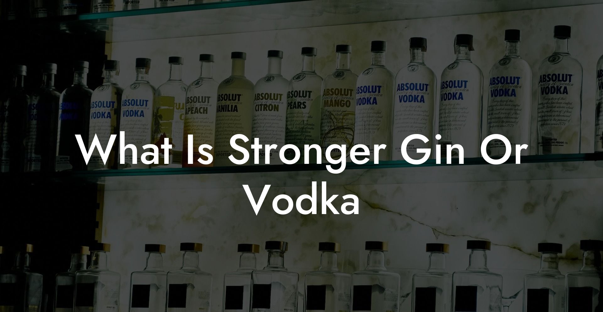 What Is Stronger Gin Or Vodka