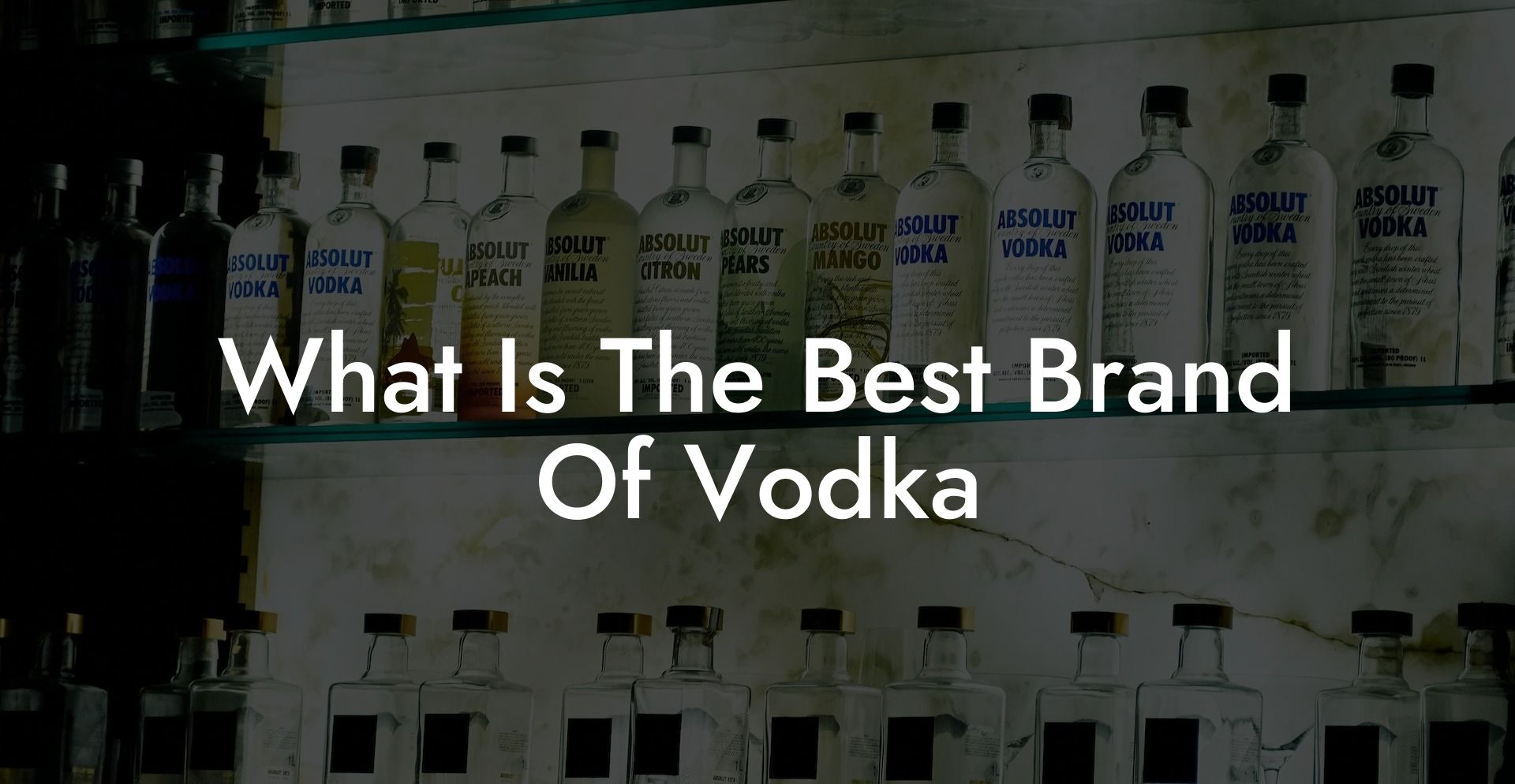 What Is The Best Brand Of Vodka