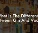 What Is The Difference Between Gin And Vodka