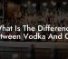 What Is The Difference Between Vodka And Gin