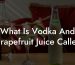 What Is Vodka And Grapefruit Juice Called