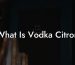 What Is Vodka Citron