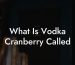 What Is Vodka Cranberry Called