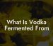 What Is Vodka Fermented From
