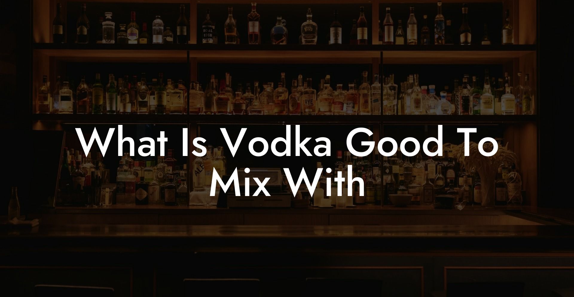What Is Vodka Good To Mix With