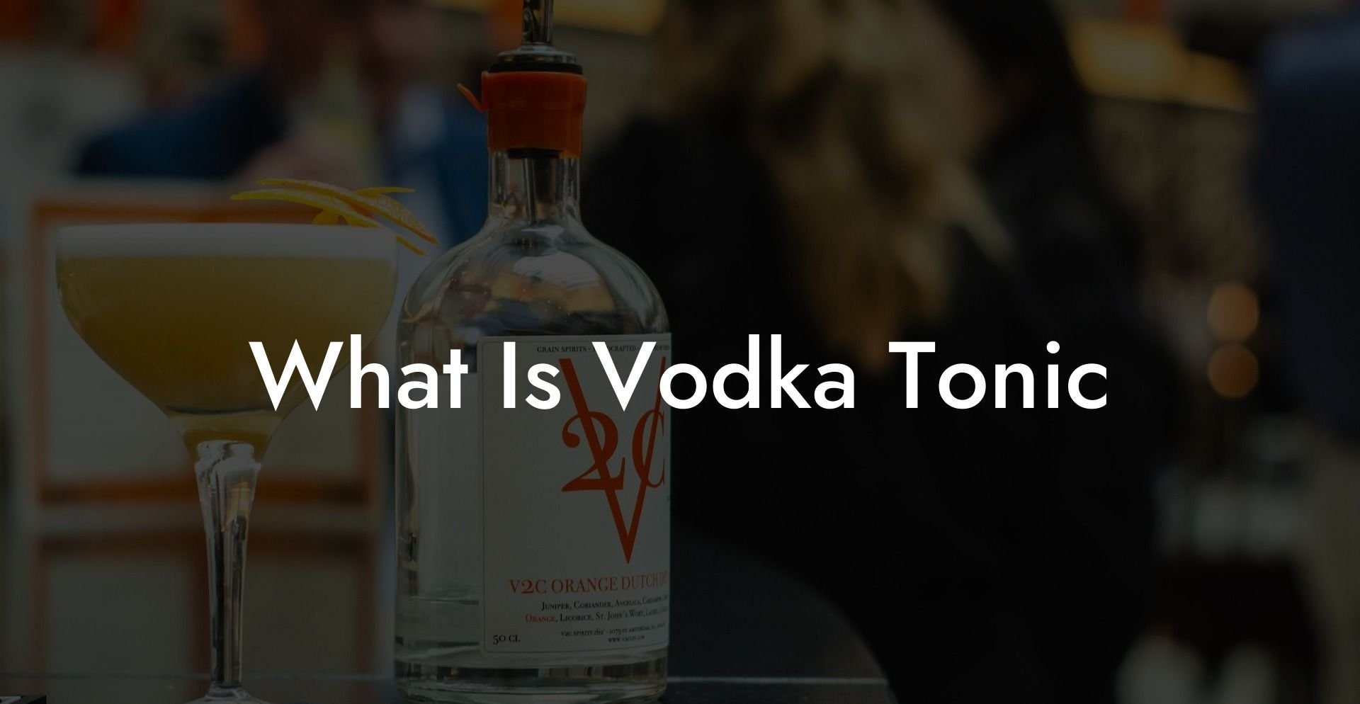 What Is Vodka Tonic