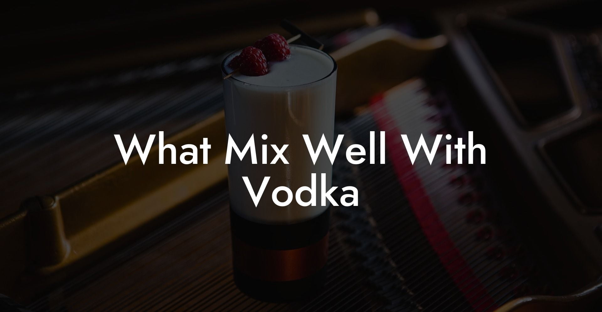 What Mix Well With Vodka