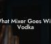 What Mixer Goes With Vodka